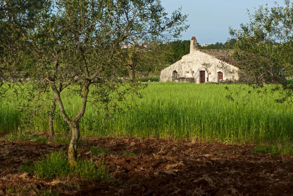 Masseria Ciavea Gioia Del Colle Exterior photo